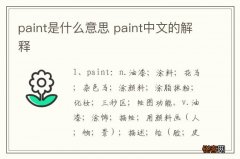 paint是什么意思 paint中文的解释