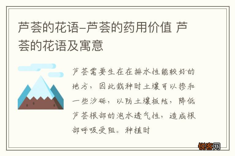 芦荟的花语-芦荟的药用价值 芦荟的花语及寓意