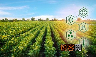 农业生产条件指的是什么 农业生产条件包括的内容