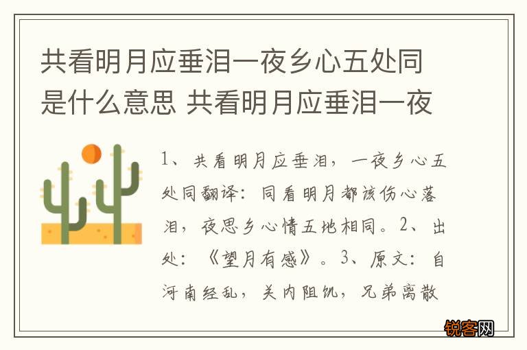 共看明月应垂泪一夜乡心五处同是什么意思 共看明月应垂泪一夜乡心五处同解释