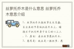 丝萝托乔木是什么意思 丝萝托乔木意思介绍