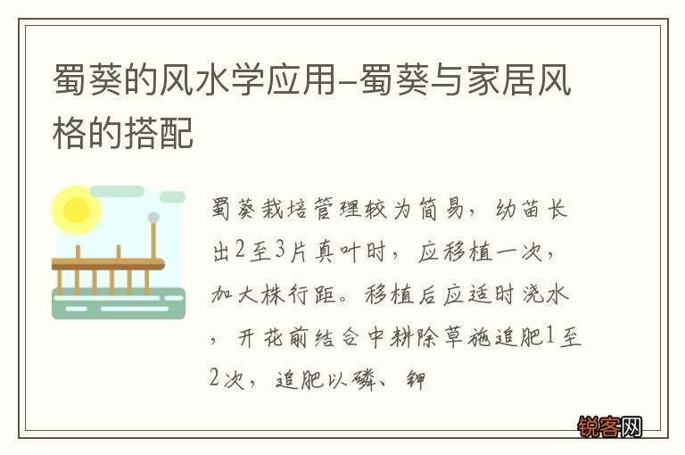 蜀葵的风水学应用-蜀葵与家居风格的搭配