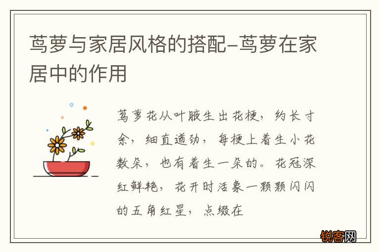 茑萝与家居风格的搭配-茑萝在家居中的作用