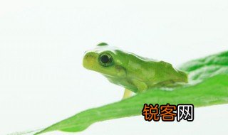 温水煮青蛙是什么意思指的谁 温水煮青蛙的意思