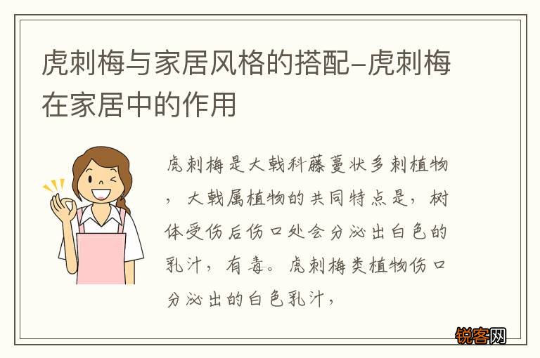 虎刺梅与家居风格的搭配-虎刺梅在家居中的作用