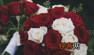 红玫瑰与白玫瑰的含义告诉我们选择谁 红玫瑰与白玫瑰的含义是什么