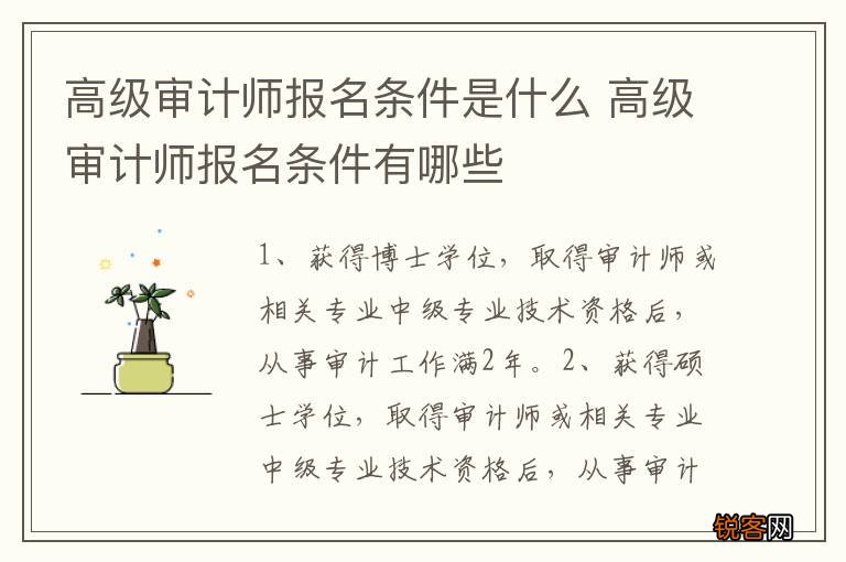 高级审计师报名条件是什么 高级审计师报名条件有哪些