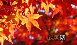 描述秋天的成语有哪些? 描述秋天的成语举例