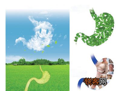 美国《发现》杂志揭示关于消化的10个奥秘