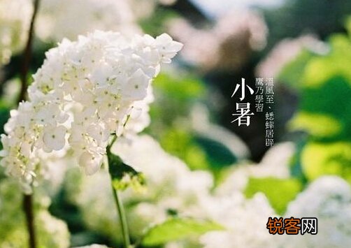 小暑什么意思？小暑怎么预防中暑
