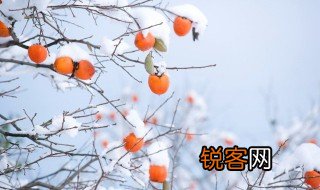 冬季生活小常识有哪些 冬季生活小常识介绍