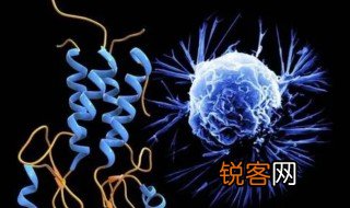 机体内环境是指什么 机体内环境简单介绍
