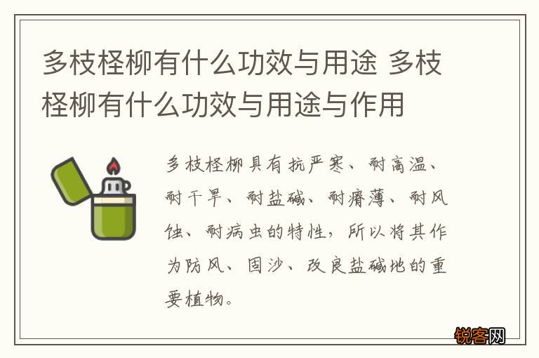多枝柽柳有什么功效与用途 多枝柽柳有什么功效与用途与作用