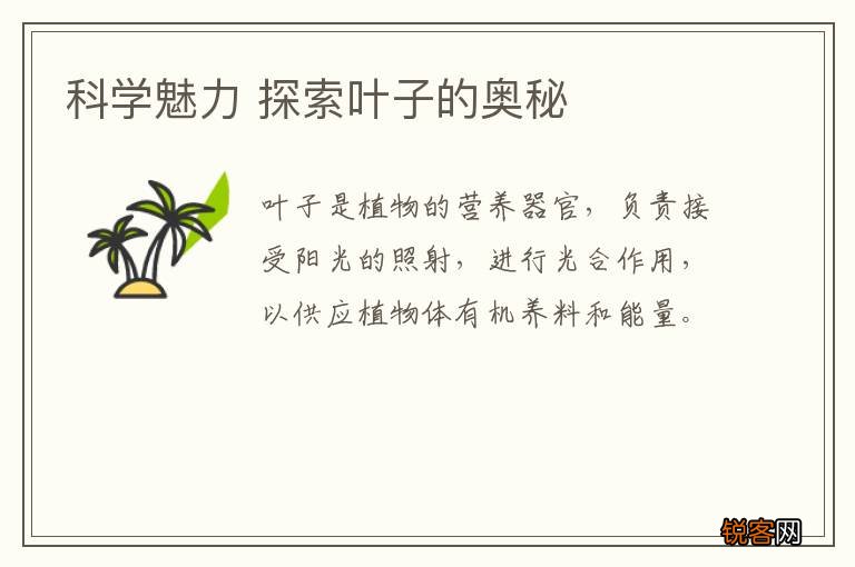 科学魅力 探索叶子的奥秘