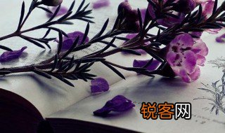 九虎是什么意思 九虎解释