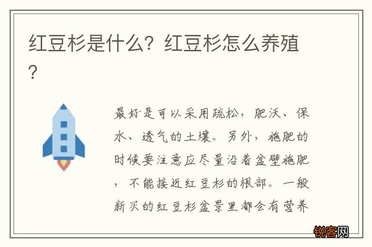 红豆杉是什么？红豆杉怎么养殖？