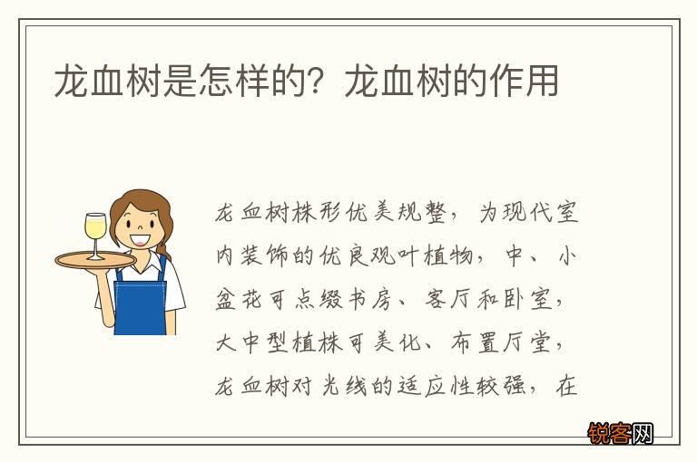 龙血树是怎样的？龙血树的作用