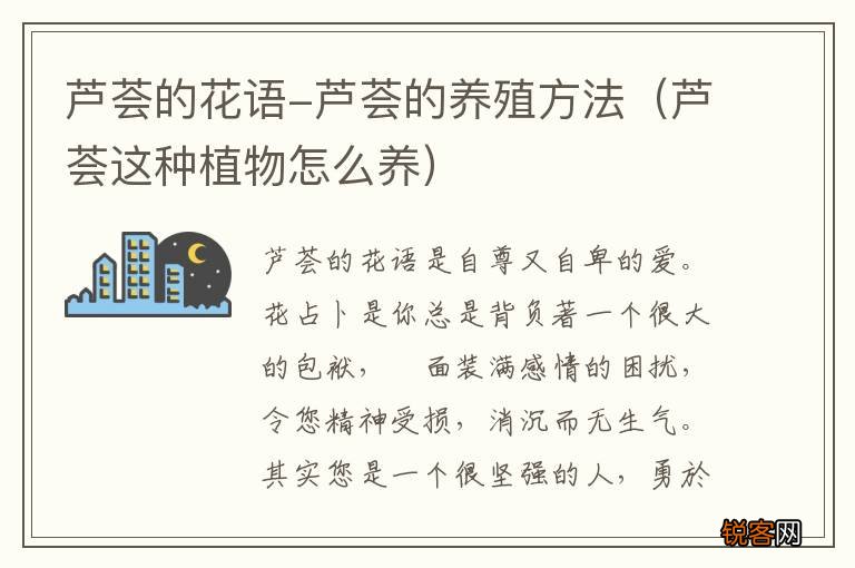 芦荟这种植物怎么养 芦荟的花语-芦荟的养殖方法