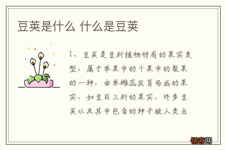 豆荚是什么 什么是豆荚