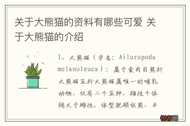 关于大熊猫的资料有哪些可爱 关于大熊猫的介绍