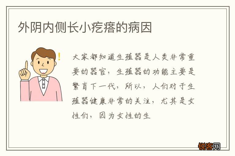 外阴内侧长小疙瘩的病因