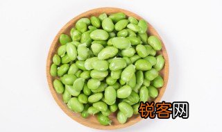豆科植物有哪些主要特征 豆科植物有哪些主要特征有什么