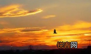 与孤鹜齐飞 与孤鹜齐飞出处