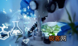生物学中界门纲目科属种各指什么 生物学中界门纲目科属种各指啥