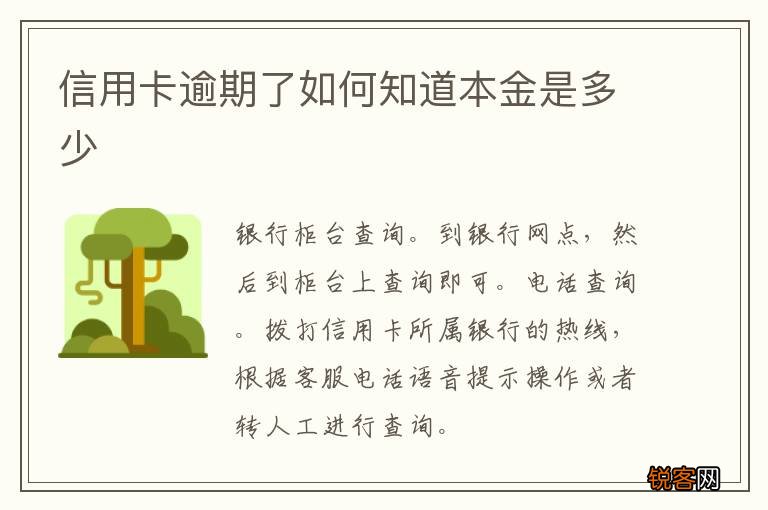 信用卡逾期了如何知道本金是多少