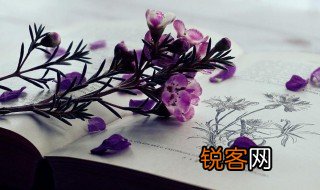 jf是什么意思 jf解释