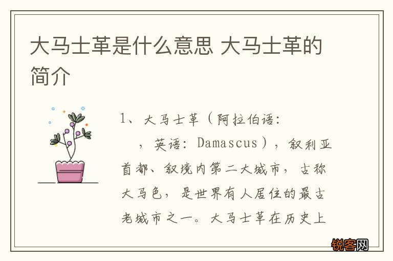 大马士革是什么意思 大马士革的简介
