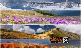 一年四季相对应的月份都哪些 一年四季的划分有以下几种方法