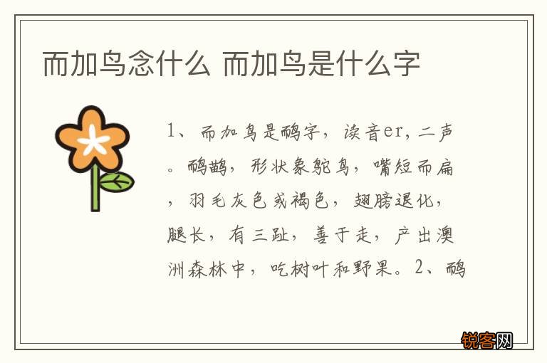 而加鸟念什么 而加鸟是什么字