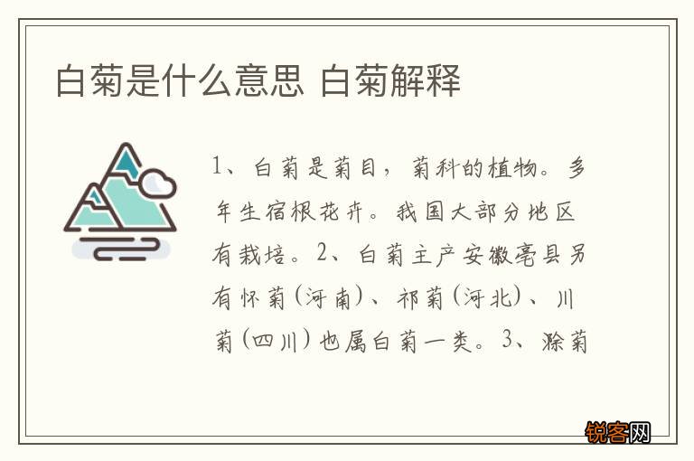 白菊是什么意思 白菊解释