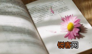 崩组词 崩可以组哪些词