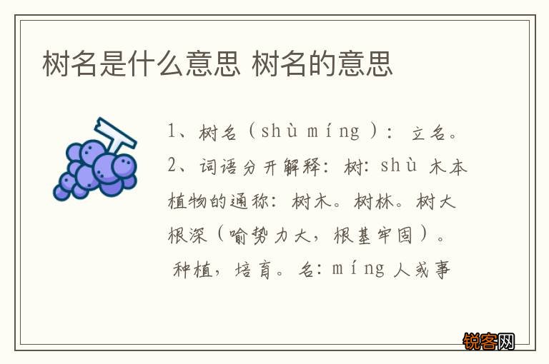 树名是什么意思 树名的意思