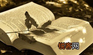 奋斗的青春作文800字 奋斗的青春作文800字怎么写