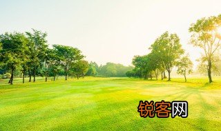 关于保护环境的优美句子 关于保护环境的优美句子有哪些