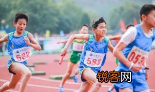 运动会作文350字 运动会作文范文