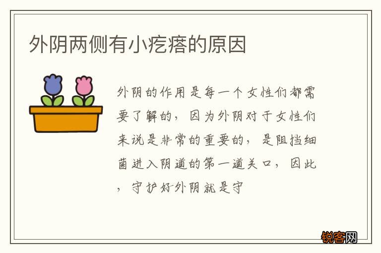 外阴两侧有小疙瘩的原因