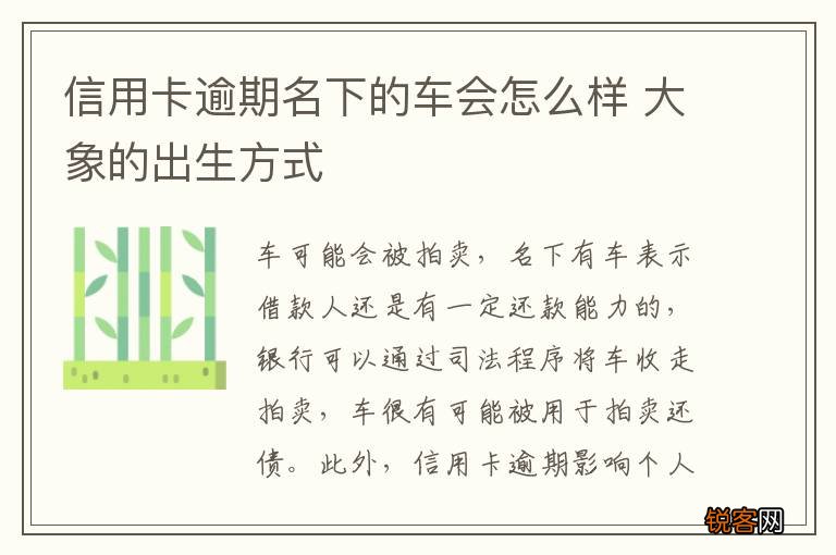 信用卡逾期名下的车会怎么样 大象的出生方式