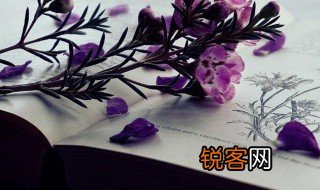 亦是什么意思 亦解释