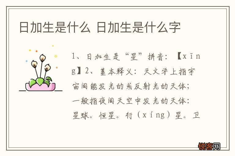 日加生是什么 日加生是什么字