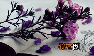 描写群山的成语 描写群山的成语及解释
