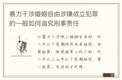 暴力干涉婚姻自由涉嫌成立犯罪的一般如何追究刑事责任