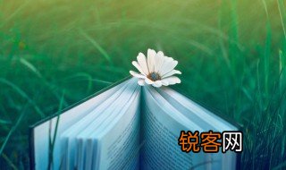 素质教育的核心和灵魂是什么 素质教育的核心和灵魂介绍