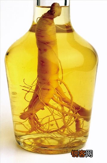 什么酒可以用来做药酒