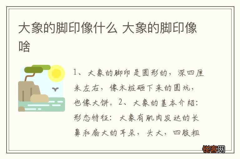 大象的脚印像什么 大象的脚印像啥