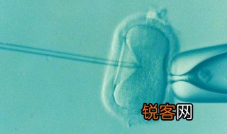 体外受精什么意思 体外受精简单介绍