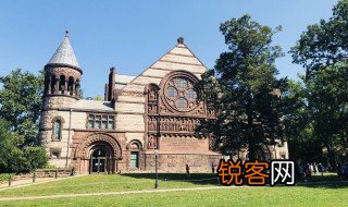 university是什么意思 university意思介绍